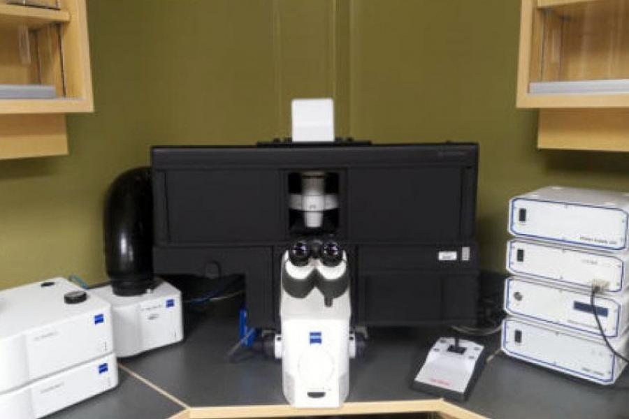 Complex microscope set up with computer monitors.