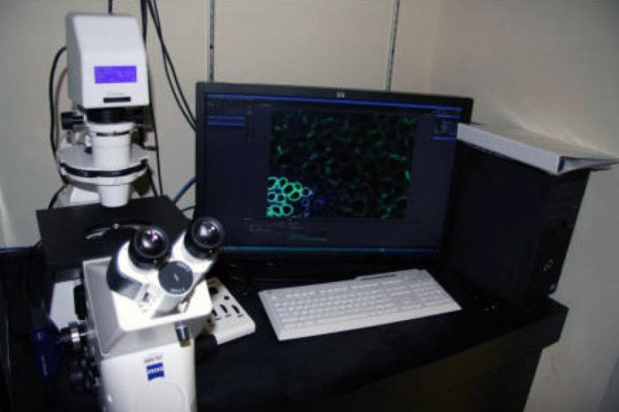Complex microscope set up with computer monitors.