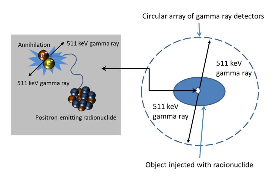 Schematic representation of the principles of PET.