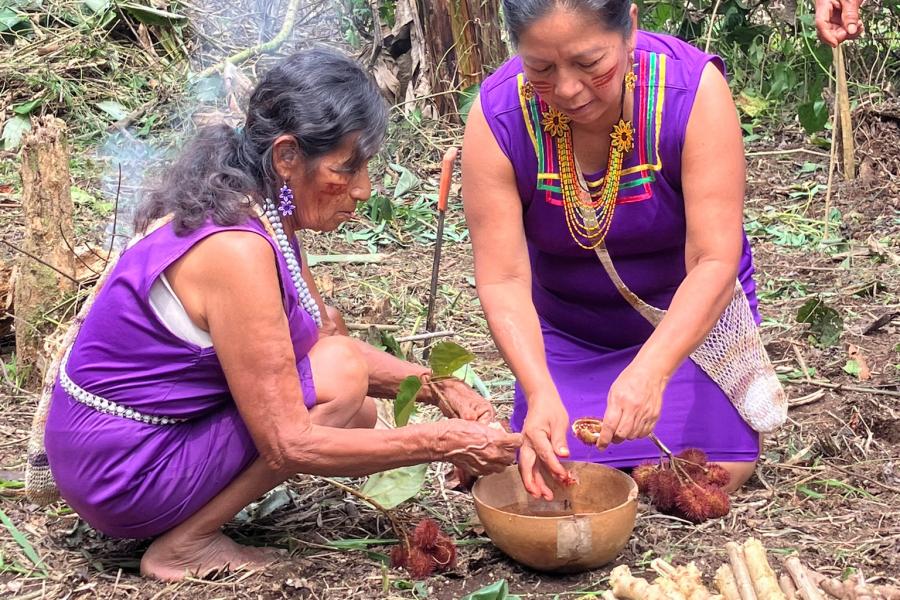 Two members of an Indigenous community prepare a traditional medicine.