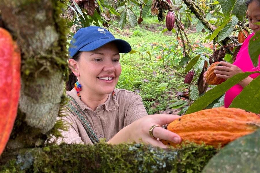 A student picking fruit from a tree.