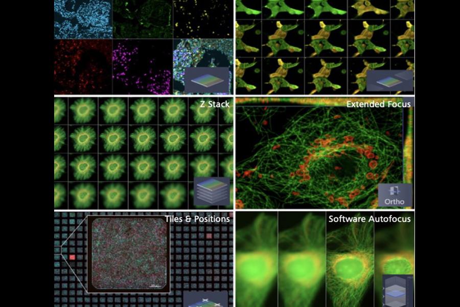 Illustration of multidimensional imaging techniques, including Z-stacks for 3D visualization, multicolor imaging for multiple markers, tiling for large area coverage, and timelapse imaging for capturing dynamic changes over time.