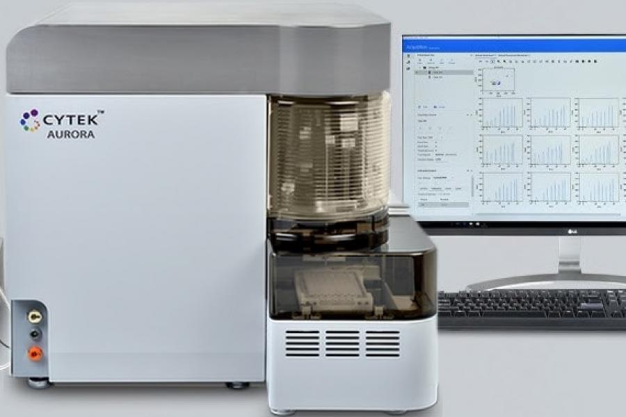 4 Laser YG Aurora