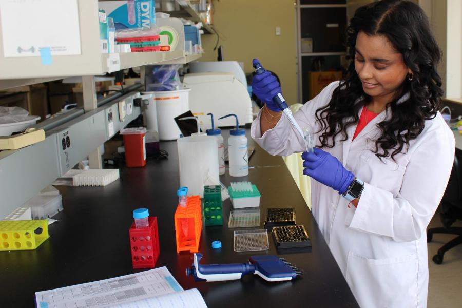 A student uses a pipette in a lab.