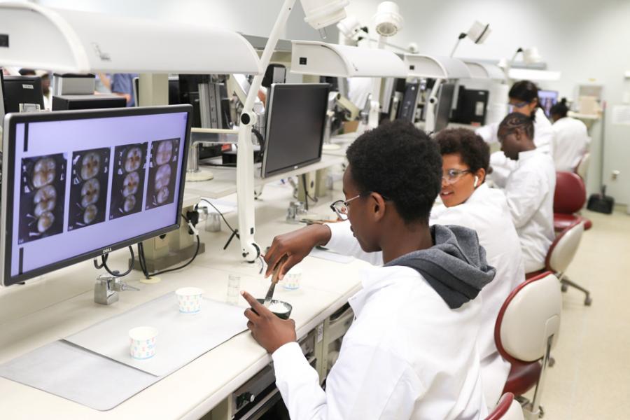 Camp participants working on dental impressions