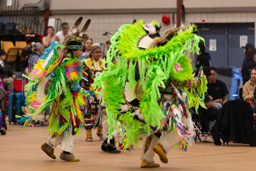 Indigenous dancers in vibrant regalia performing at a pow wow