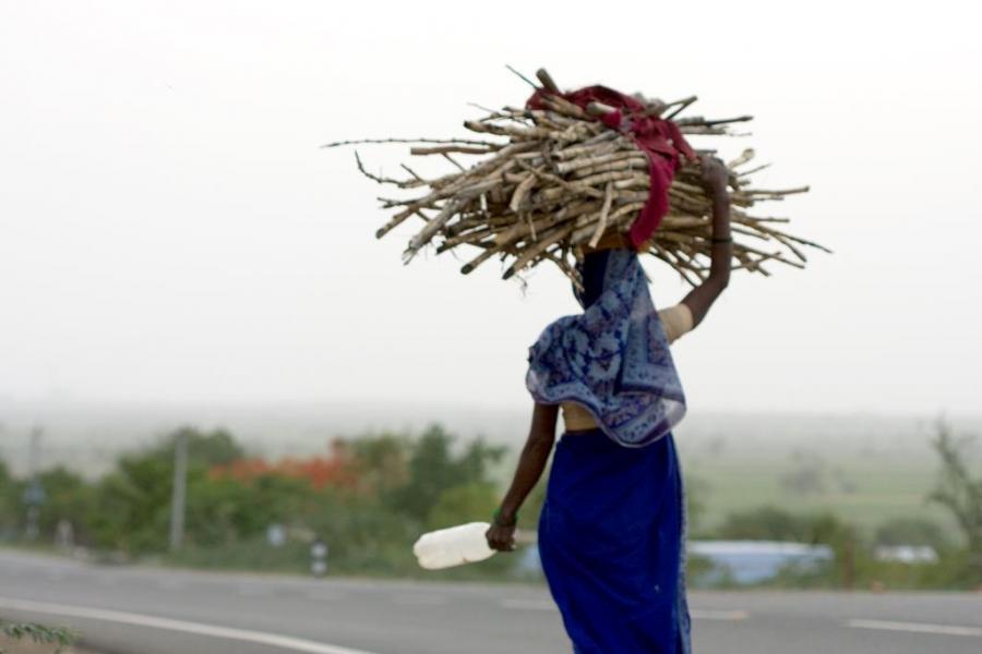 Woman carrying a load of branches on her head.