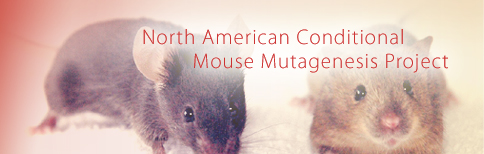 North American Conditional Mouse Mutagenesis Project