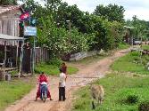 Cambodia rural scene