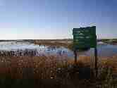 flooding of pasture land (the fence denotes the barrier between pasture and a managed wetland)