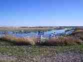 flooding of pasture land (the fence denotes the barrier between pasture and a managed wetland)