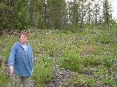 Peggy Smith checking forest regeneration near Red Lake