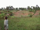 Shamba - Ileho, Kakamega (Jan. 2004)