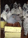 Beekeeping training course - Kwale (Mar. 2004)