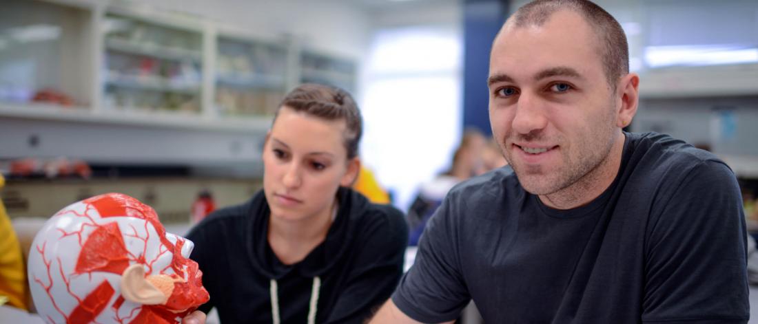 Two kinesiology and recreation management students study a model of a human head and neck.