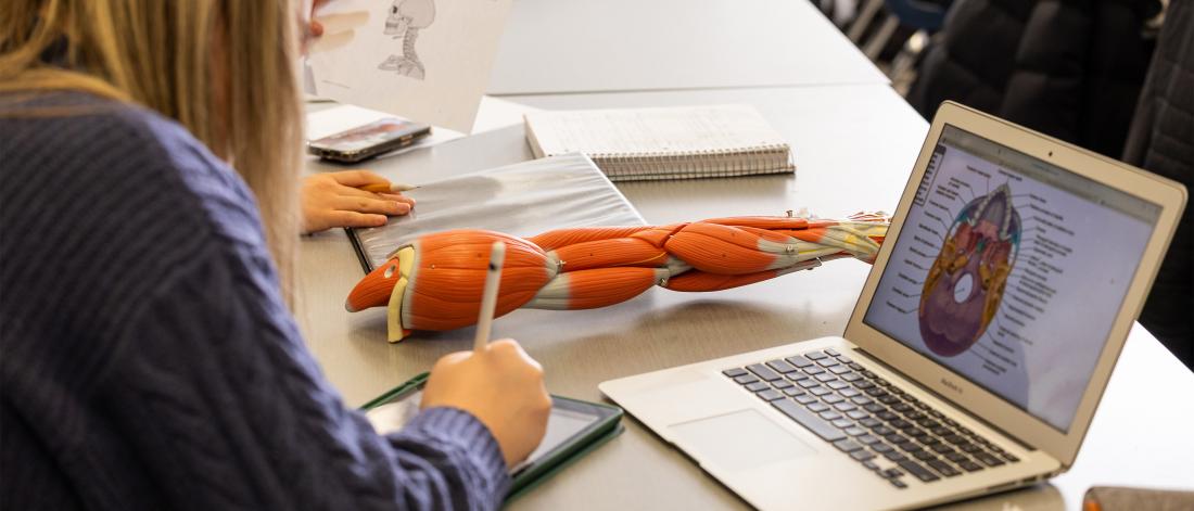 A woman's hand writing notes next to an open laptop with diagrams on it. A mannequin arm is on the table beside her.