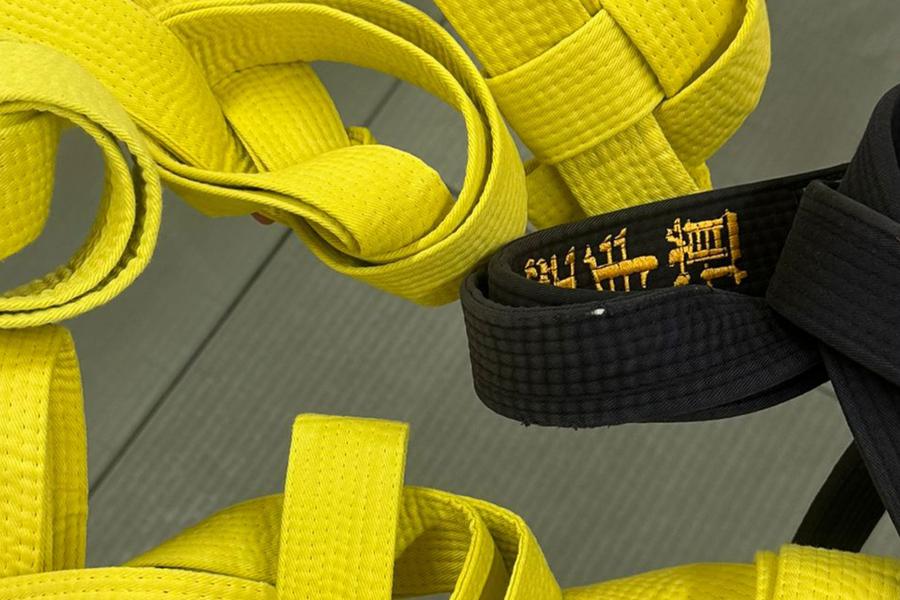 A group of hands holding martial arts belts