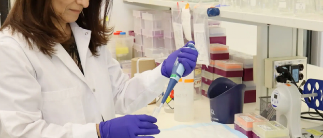 A UM research team led by Dr. Soheila Karimi has found that the protein neuregulin-1 can halt multiple sclerosis in mice