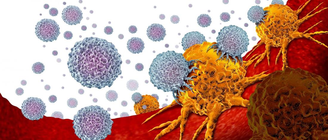 Graphic of white blood cells fighting bacteria.