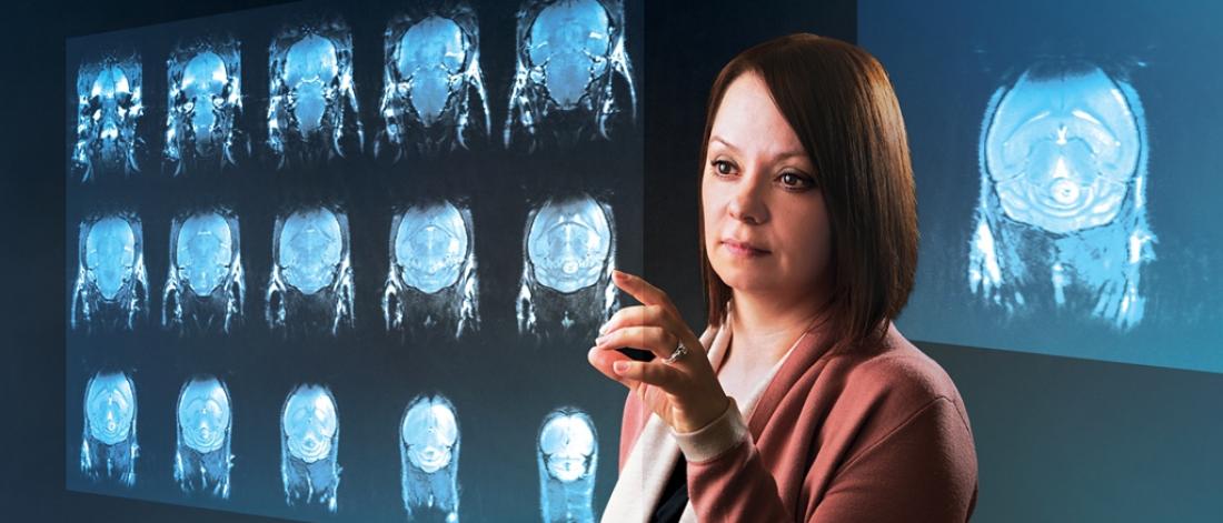 A researcher reviewing x-ray images