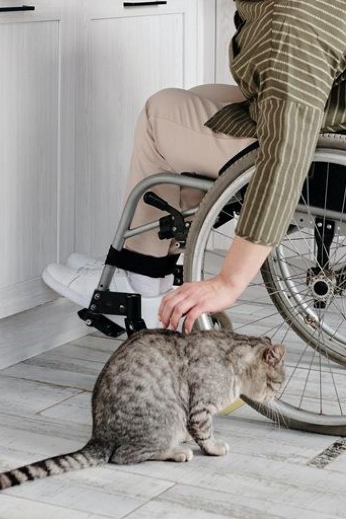 Woman in a wheelchair pets her cat.