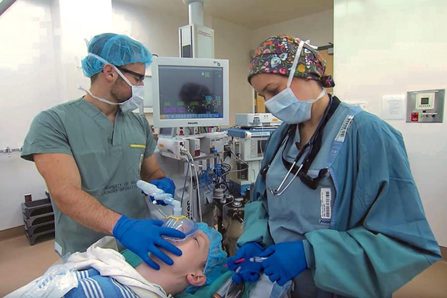 Anesthesiologists work with a patient in an operating room. 