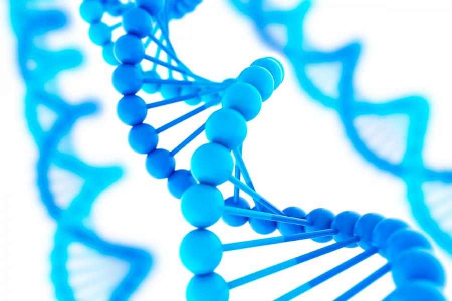 Image of human DNA