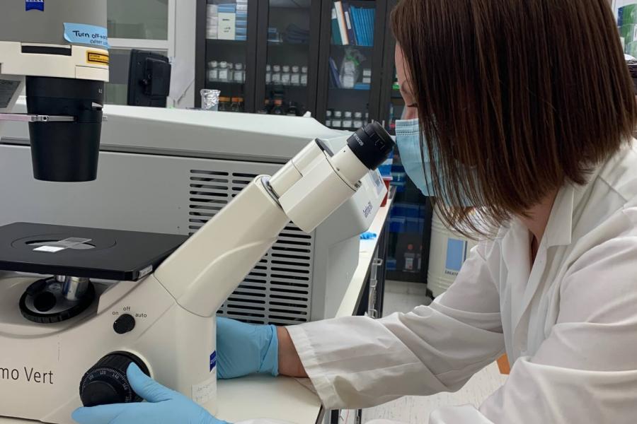 Dr. Tamra Werbowetski-Ogilvie, a Canada research chair in neuro-oncology works on research in a lab.