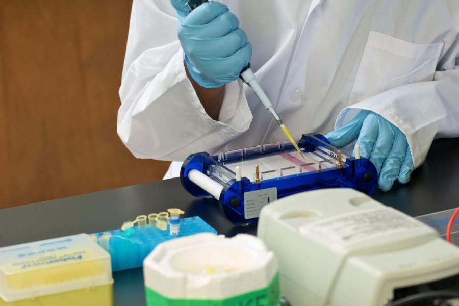 A medical professional uses lab equipment.