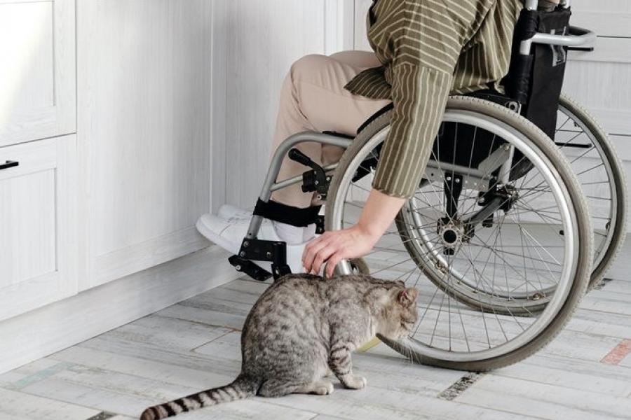 Woman in a wheelchair pets her cat.