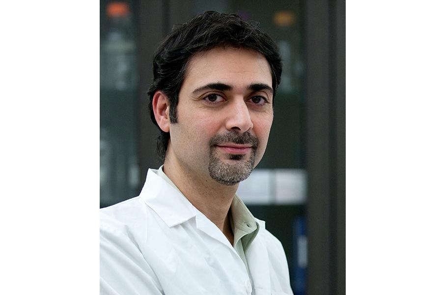 Afshin Raouf 