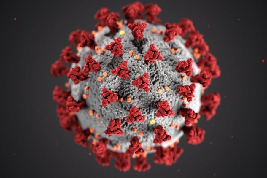 Close up of the covid-19 virus.