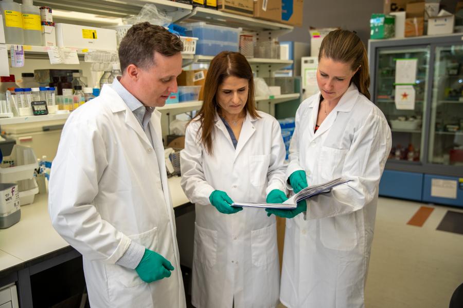 A team of researchers from the Multiple Sclerosis Research Centre