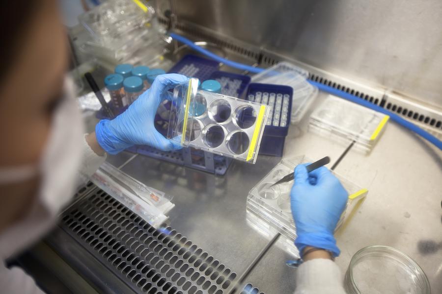 Researcher working in lab.