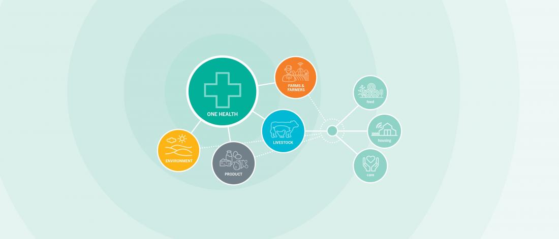 Graphic showing the components of good animal care