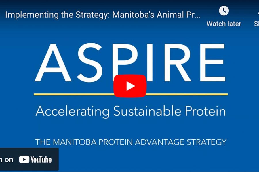 Implementing the Strategy: Manitoba's Animal Protein Industry