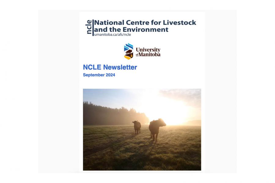 Newsletter cover, two cows stand in a field with the sun behind them