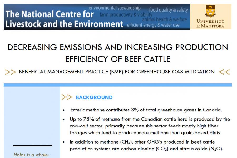 Decreasing Emissions and Increasing Production Efficiency of Beef Cattle
