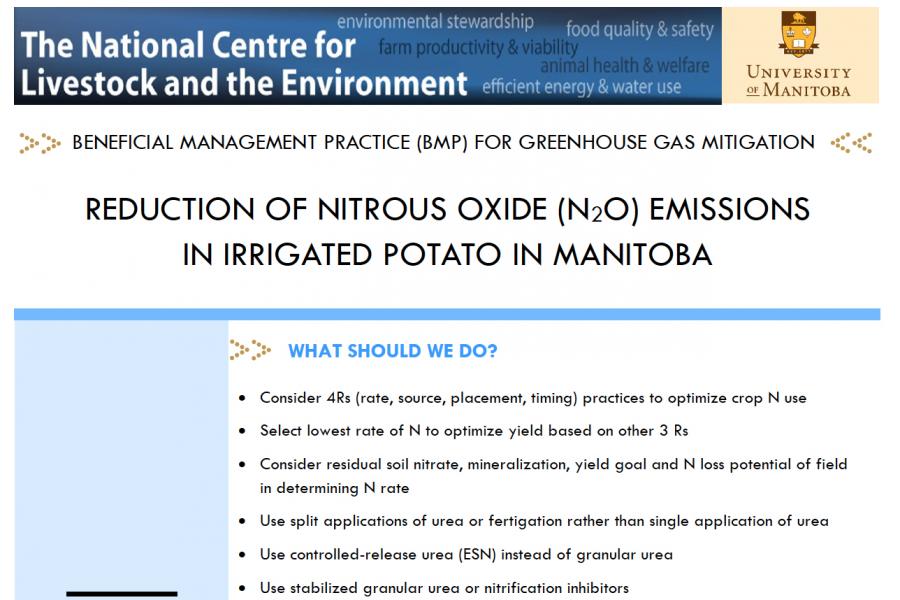 NCLE - Reduction of Nitrous Oxide (N2O) Emissions in Irrigated Potato in Manitoba