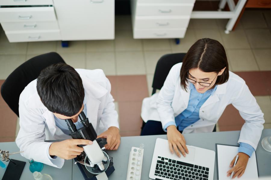 An overhead view of two people seated at a desk, conducting research.