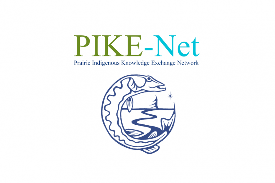 Pike-Net logo.
