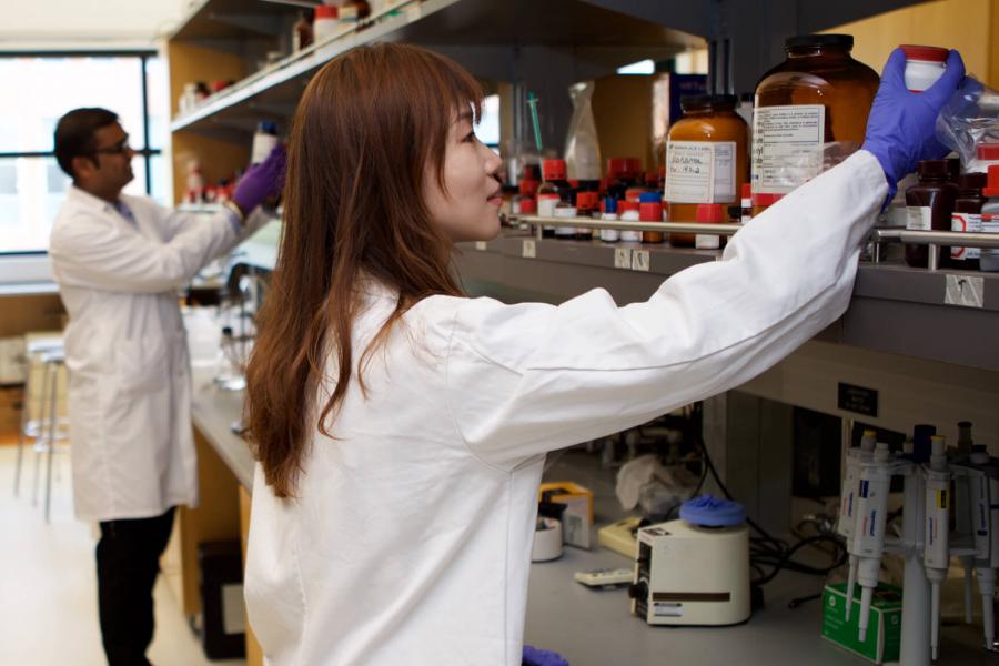 Two pharmacist students standing side by side working in a lab.