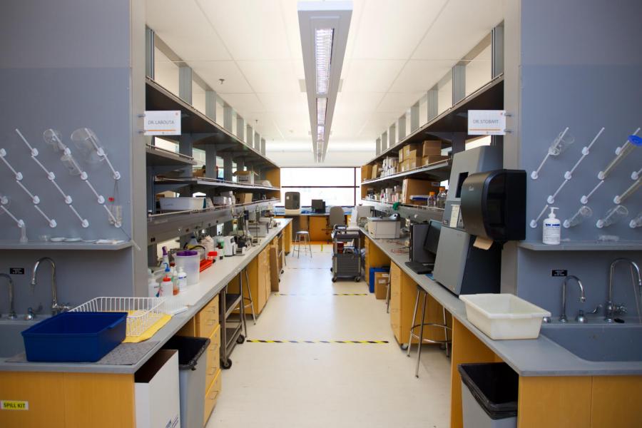 An interior view of the third floor Pharmaceutical Care laboratory with rows of work stations at long countertops with rows of shelving above.