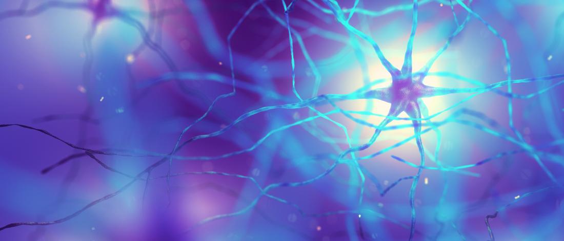 image of brain neurons