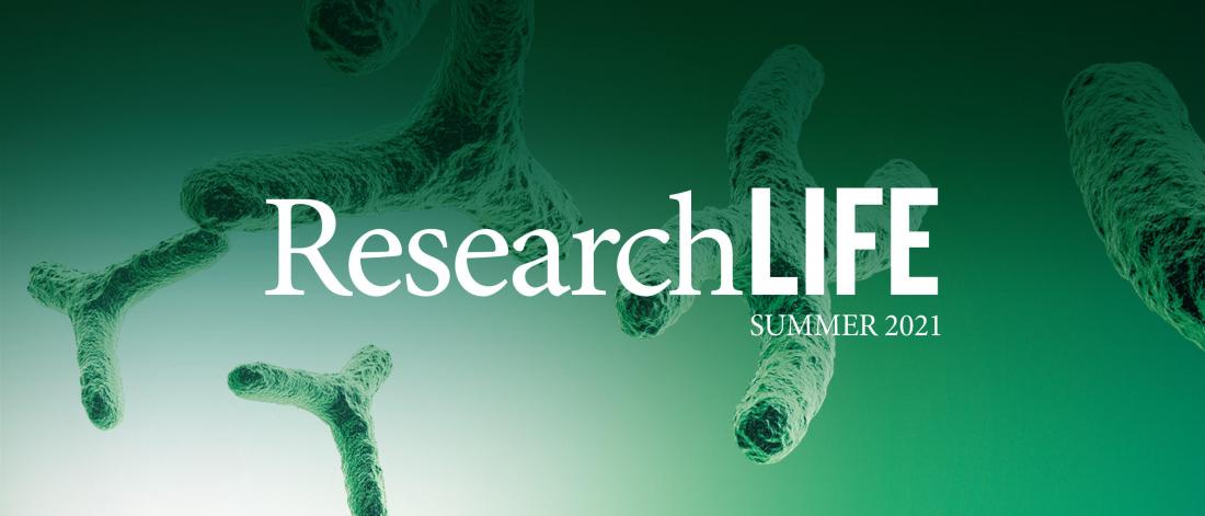The ResearchLIFE masthead over an image of magnified chromosomes.