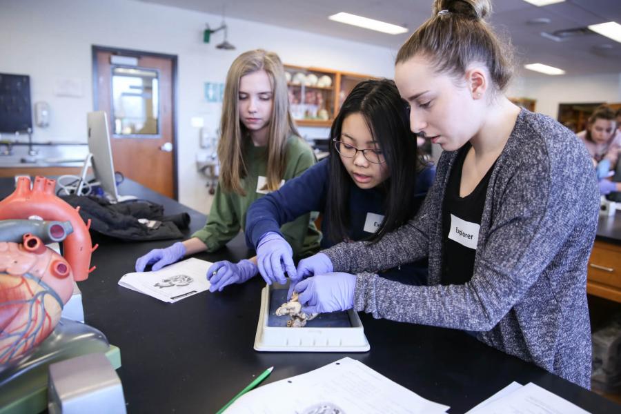 Three SET Day participants  in a lab working together.