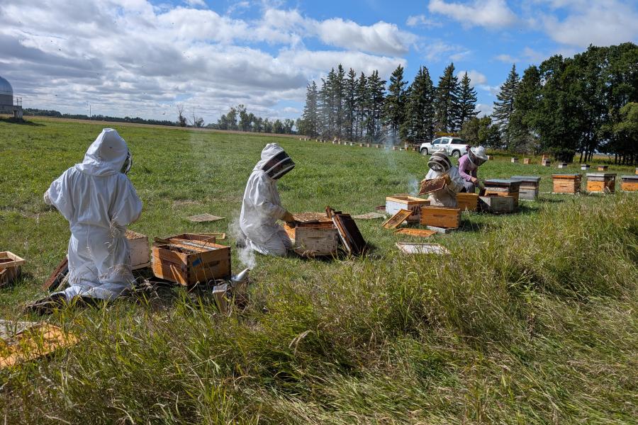 Beekeeping_volunteers2026
