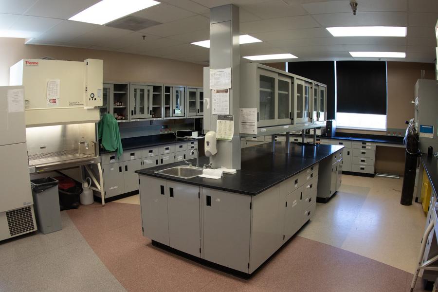 An empty laboratory with bench and fume hood.