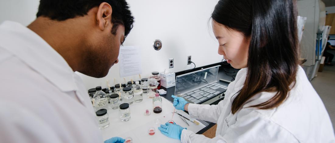 Two students working in a life sciences lab