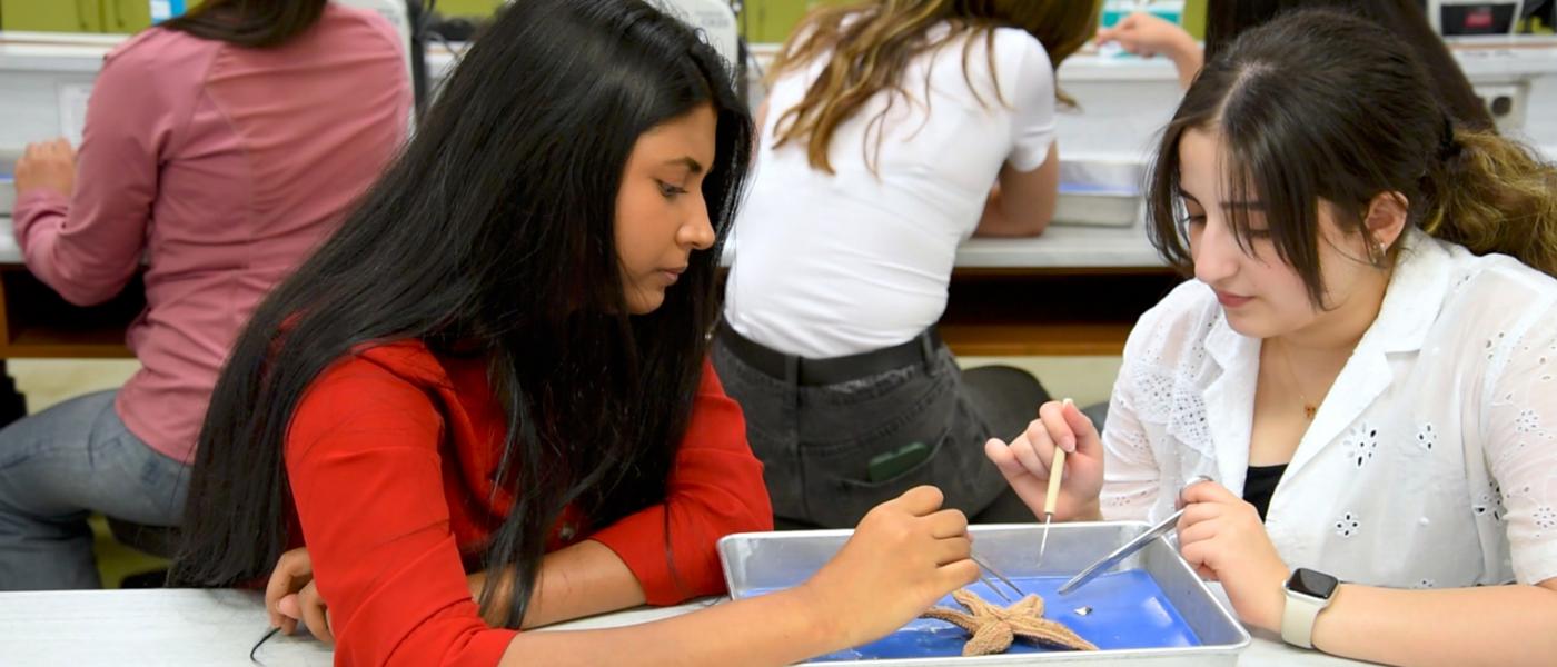 Programs of study | Faculty of Science | University of Manitoba